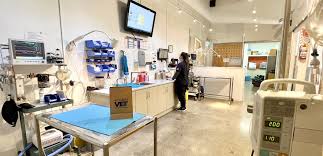 St Lukes Veterinary Centre