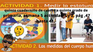Season five kicks off with two featured bundles. News Boston Today Cuadernillo Proyectomultigradopararepasoenvacaciones 5to Grado Cuadernillo Proyectomultigradopararepasoenvacaciones 5to Grado Https Www Imageneseducativas Com Wp Content Uploads 2020 09 5 C2 B0 Cuadernillo Multigrado Pdf El