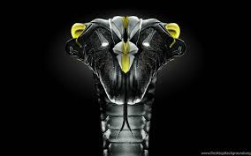 We have a massive amount of desktop and mobile. Mamba 4 Life Wallpapers Wallpaper Cave