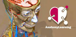 A true and totally 3d app for studying human anatomy, built on an advanced interactive 3d touch interface. Anatomy Learning 3d Anatomy Atlas On Windows Pc Download Free 2 1 322 Com Anatomylearning Anatomy3dviewer3