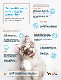 The idea of worms in our dogs is always unpleasant. Parasites Animal Humane Society