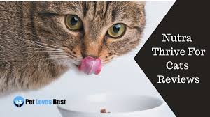 Nutra thrive is a dog supplement that is claimed to help your dog fight aging, strengthen the digestive system, and more. Nutra Thrive For Cats Reviews Worth The Price Pet Loves Best