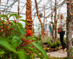 Kansas city's botanical garden pg is closed, reopening spring 2021. Welcome To Powell Gardens Kansas City S Botanical Garden