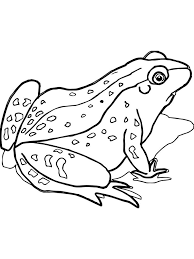 Sweet Frog Coloring Pages Below Is A Collection Of Frog Coloring Page Which You Can Download For Free Ha Frog Coloring Pages Sweet Frog Animal Coloring Pages