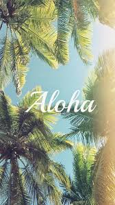 Ipad pro 2021, apple event 2021, green, colorful, stock, multicolor. Aloha Palm Trees Iphone 5s Wallpaper Download Iphone Wallpapers Ipad Wallpapers One Stop Dow Palm Tree Iphone Wallpaper Iphone 5s Wallpaper Summer Wallpaper