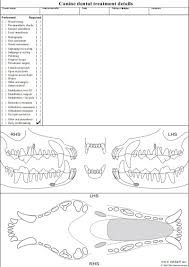 Hills Canine Dental Chart Www Bedowntowndaytona Com