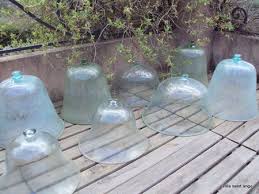 Dsc05774 Cloche En Verre Jardin Cloche Serre En Verre