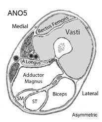 We did not find results for: Muscle Mri