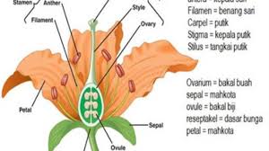 Dari permukaan air laut, sinyal bunyi dikirim ke dasar laut. 10 Contoh Soal Cepat Rambat Bunyi Materi Kimia