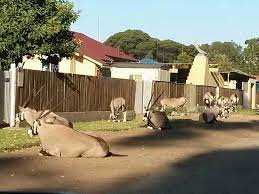 Current local time in oranjemund Only In Oranjemund Namibia Namibia Travel Africa Travel Land Of The Brave