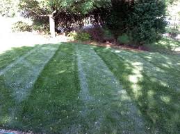 Here are some tips on how to create make sure the mower blades are very sharp to assure a clean cut as dull blades tear the grass and stress it. Homemade Lawn Striping Kit For Commercial Mowers Lawn Striping Lawn Striping Kit Commercial Mowers