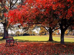We did not find results for: Hd Nature Cute Wallpapers For Android Mobile Free Download Jpg Desktop Background