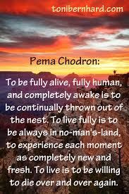 Home > meditation quotes > meditation quote 58: 3fba64e67d0d933b671fb6a8f09baec0 Jpg 1 200 1 800 Pixels Pema Chodron Quotes Buddhist Quotes Pema Chodron