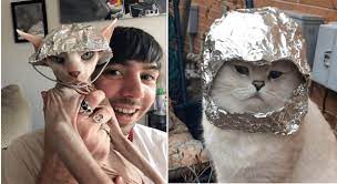 Conspiracy Cats Wearing Tin Foil Hats So No One Will Control Their Mind Cat Memes Funny Cat Photos Cat Lovers