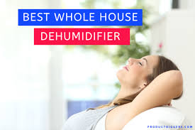Check spelling or type a new query. 12 Best Whole House Dehumidifier Of 2021 Product Diggers