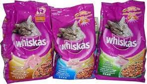 Berbeda dengan makanan kucing anggora umur 3 bulan. Daftar Harga Makanan Pakan Kucing Peliharaan Anggora M Berita