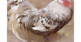 Black And White Speckled Chicken Name Black White Speckled Rooster Beverage Coaster Zazzle Com In 2020 Rooster Art Fancy Chickens Animal Art