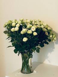 Humphreys flowers asub kohas chattanooga. Florist Gift Cards Certificates In Chattanooga Tn Giftrocket