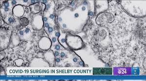 In a report, they warned there was a risk the movement of people would spread covid infections and strain the country's medical system. Shelby County Health Experts Urge Public To Continue Precautions As Covid 19 Cases Surge Again Localmemphis Com
