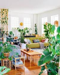 Jungle Living Room In Nz Hid360 Com Unique Home Decor Home Decor Tips Living Room Decor