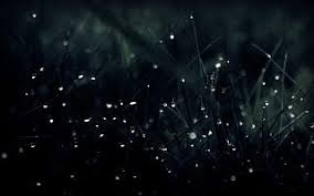 افضل خلفيات للكمبيوتر ويندوز 10 best wallpapers windows wallpaper grass wallpaper samsung wallpaper