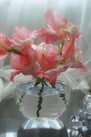 Flores E Coracoes Dream Gifs Beautiful Flowers Images Beautiful Rose Flowers Flowers Gif