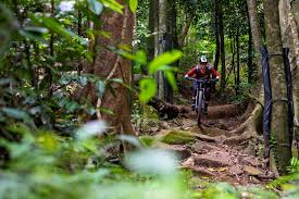 The latest mountain bike downhill helmets are certified to a new standard astm f1952. Video Tracey Hannah Sends The Cairns Dh World Cup Track On Her Enduro Bike Pinkbike