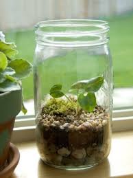 Using a mister/atomiser or simple a water bottle with a spray function is always recommended. Making A Terrarium Thriftyfun