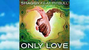 yardhype dancehall reggae jamaica shaggy shaggy songs lyrics videos