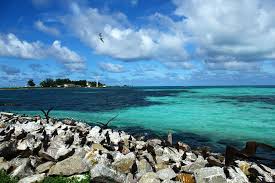 Pulau layang layangan is an island in sabah. Pulau Burung Di Layang Layang Islands D Jesselton Sabah Facebook