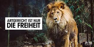 Peta Deutschland Twitterren Wer Hat Uns Das Recht Gegeben Wildtiere Einzufangen Sie Einzusperren Und Fur Unser Entertainment Zu Missbrauchen Artgerecht Ist Nur Die Freiheit Https T Co H3a6efx0tg