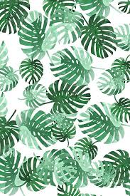 Colorful Fabrics Digitally Printed By Spoonflower Palm Springs Leaves Wallpaper Iphone Palm Leaf Wallpaper Leaf Wallpaper