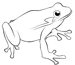 We did not find results for: Download And Print These Printable Of Frogs Coloring Pages For Free Description From Azcoloring Com I Searched Frog Drawing Frog Coloring Pages Frog Outline