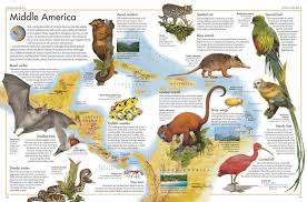 Maybe you would like to learn more about one of these? The Animal Atlas A Pictorial Guide To The World S Wildlife Nhbs Bookstore