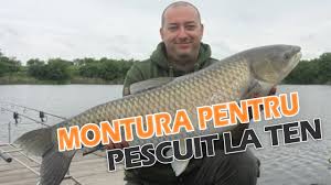 Presiunea atmosferică reprezintă presiunea exercitată de aerul din atmosferă asupra scoarței terestre. Pescuit Crap 2018 Iazul Dorului Prahova By Pescuit Crap