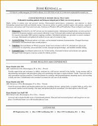 Home Health Care Business Lan Template Example Lans Ess Plan