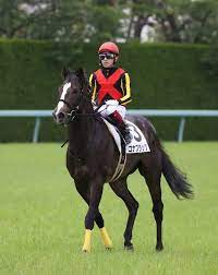阪神新馬戦】待望デビューのキタサンブラック産駒 初陣コナブラックは3着 福永「長めの距離で」― スポニチ Sponichi Annex ギャンブル
