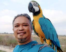 Известного дрессировщика попугаев заставили избавиться от подопечных