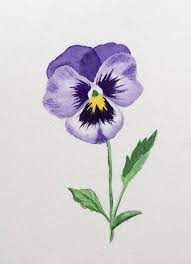 Original Watercolor Pansy Original Pansy Art By Colorofchlorophyll Pansies Art Watercolor Flowers Paintings Flower Drawing