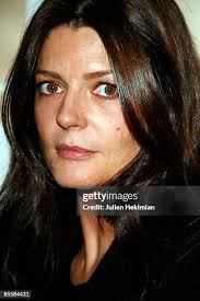 1,194 Un Chat Un Chat Photos & High Res Pictures