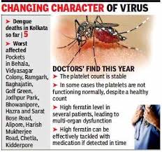 Dengue platelet count danger level. Kolkata Platelet Count Not Enough To Gauge Dengue Severity Kolkata News Times Of India