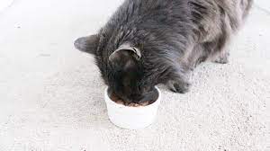 Dietary deficiency of taurine can cause severe heart disease and can fatal to cats. Raw Homemade Kidney Care Diet For Cats Health Home Happiness