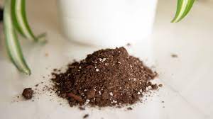 Plant soil at growland ✅ for a healthy growth and good prosperity of your plants, the right soil is crucial. Potting Soil For Indoor And Container Plants
