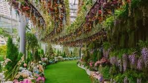 Como E A Visita No Gardens By The Bay Eduardo Monica