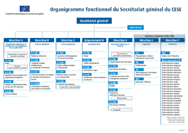 organisational chart administrative european economic