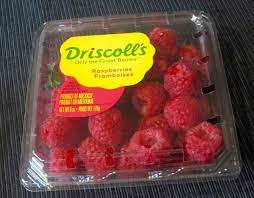 What Is A Punnet My Favourite Pastime