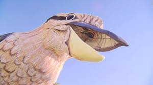Gigas) of australia that is about the size of a crow and has a call resembling loud laughter —called also laughing jackass. Giant Kookaburra Sculpture Is Bringing Joy And Plenty Of Laughter To One Australian Town Cnn Style