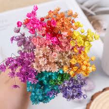 How to dry flowers from the garden. 30pcs Decorative Dried Flowers Mini Daisy Small Star Flowers Bouquet Natural Plants Preserve Floral For Wedding Home Decor 2021 Best Discount 4371a Cicig