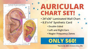 The Ultimate Auriculotherapy Reference Card Acupuncture