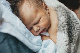 Lindsay Holcomb Photography